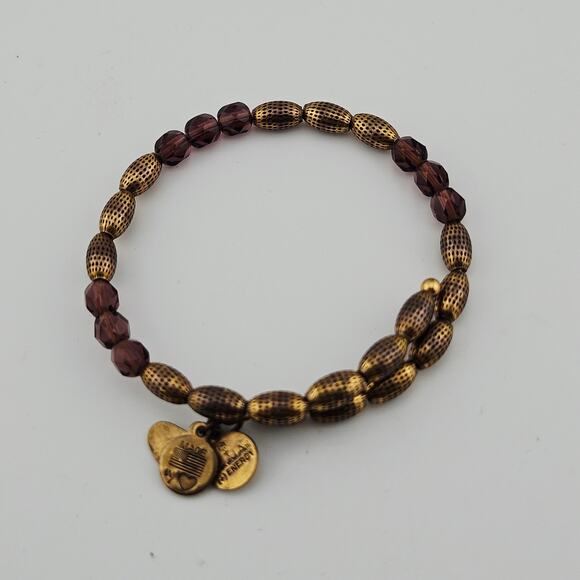 Alex & Ani Wrap Around Bangle Bracelet Gold Brown Energy Charm Rustic Stackable - Picture 1 of 7